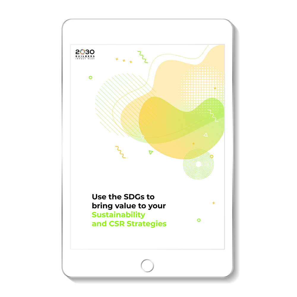 Sustainability and CSR Strategies e-Book